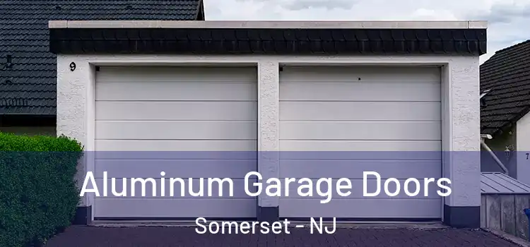  Aluminum Garage Doors Somerset - NJ