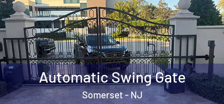  Automatic Swing Gate Somerset - NJ