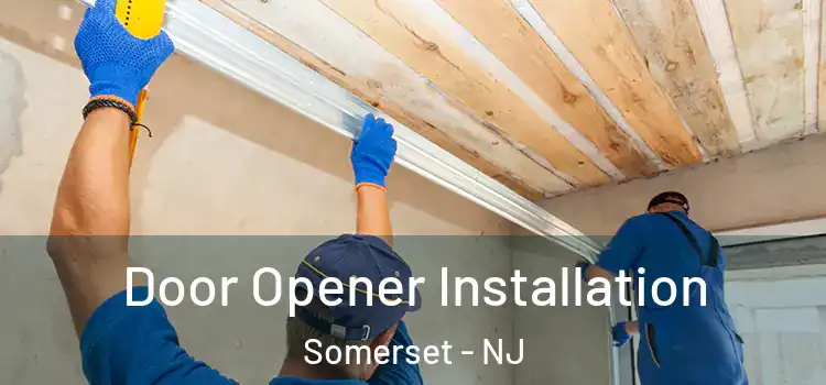  Door Opener Installation Somerset - NJ