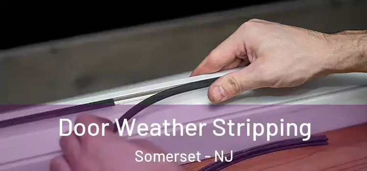 Door Weather Stripping Somerset - NJ