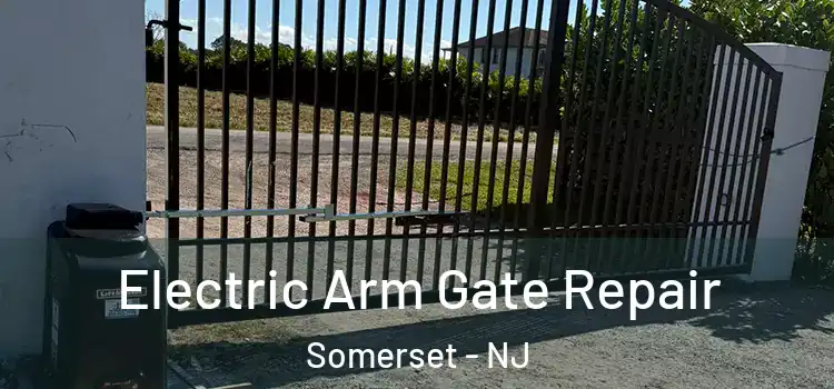 Electric Arm Gate Repair Somerset - NJ