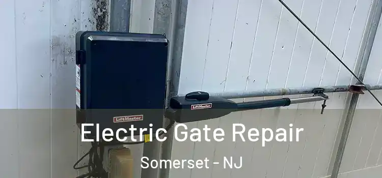 Electric Gate Repair Somerset - NJ