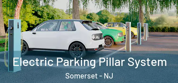 Electric Parking Pillar System Somerset - NJ