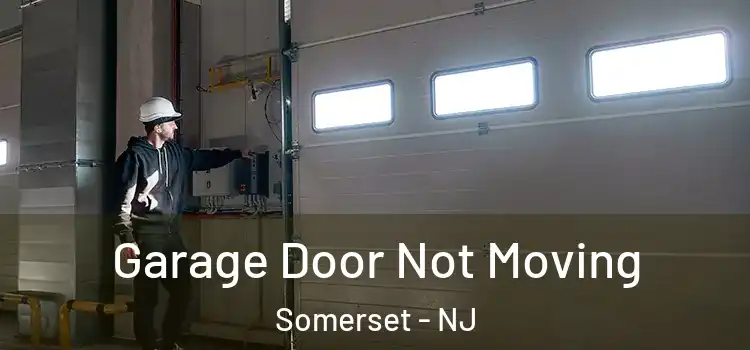  Garage Door Not Moving Somerset - NJ