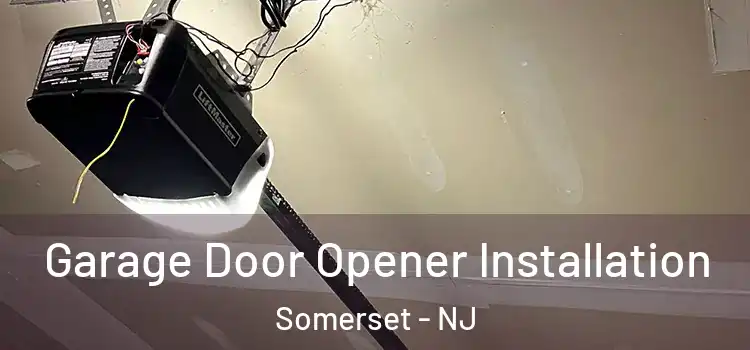  Garage Door Opener Installation Somerset - NJ