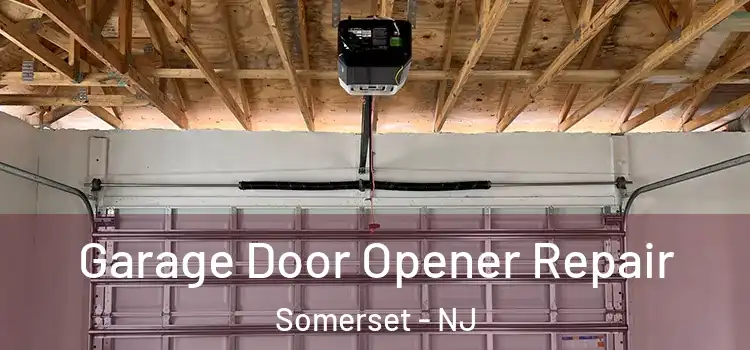  Garage Door Opener Repair Somerset - NJ