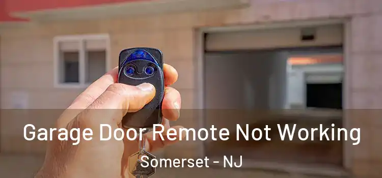  Garage Door Remote Not Working Somerset - NJ