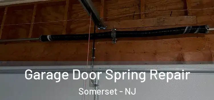  Garage Door Spring Repair Somerset - NJ