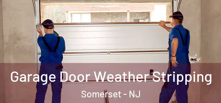  Garage Door Weather Stripping Somerset - NJ