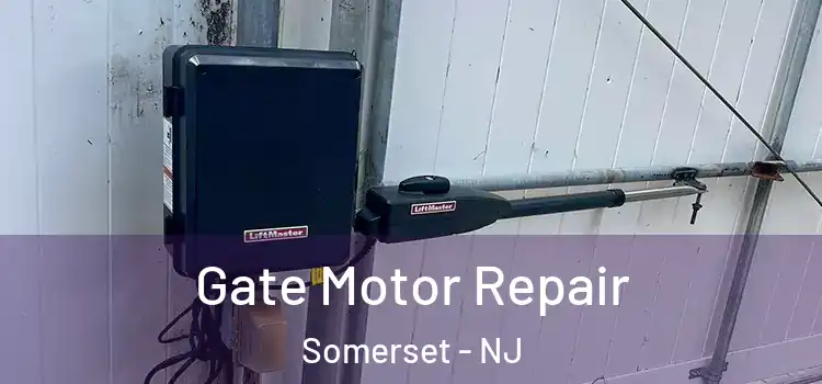 Gate Motor Repair Somerset - NJ