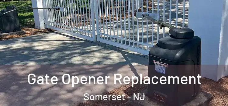 Gate Opener Replacement Somerset - NJ