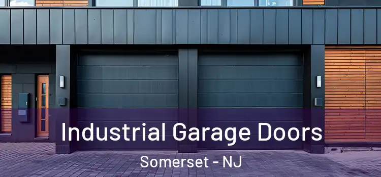  Industrial Garage Doors Somerset - NJ