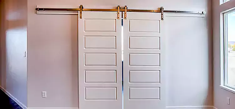 Glass Barn Door with Installation Hardware Kit Somerset
