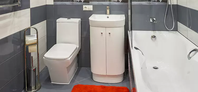 Hansgrohe Shaving Mirror Somerset