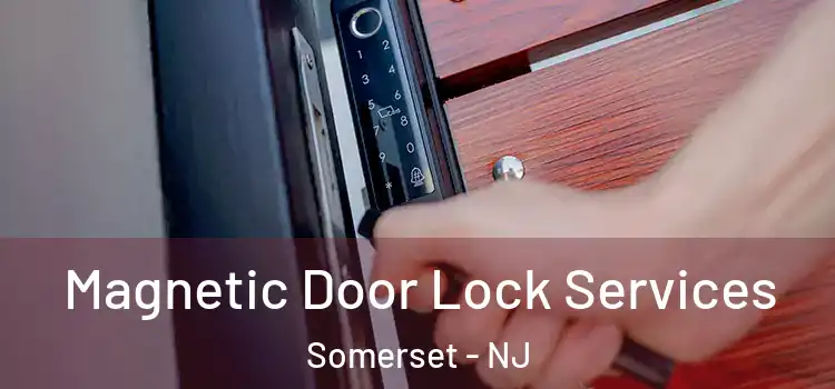  Magnetic Door Lock Services Somerset - NJ