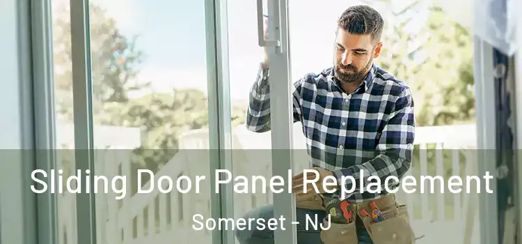  Sliding Door Panel Replacement Somerset - NJ